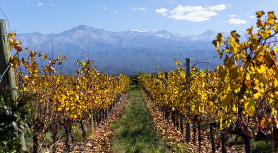 _Destinations - City culture, city art, city life