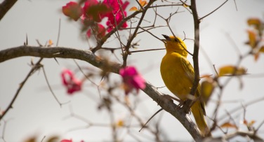 Colombia 'Creature Comforts Colombia'