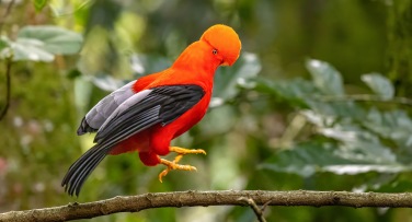 Colombia 'Nature Explorer Colombia'