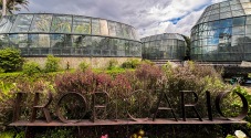 Bogota's Botanical Gardens