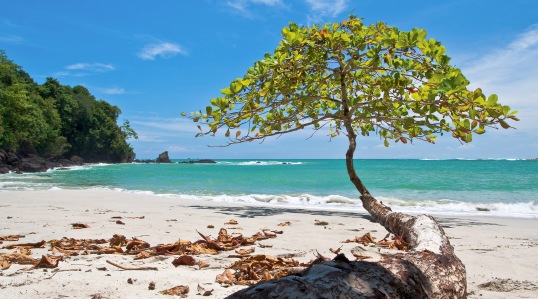 _Destinations - Amazing beaches