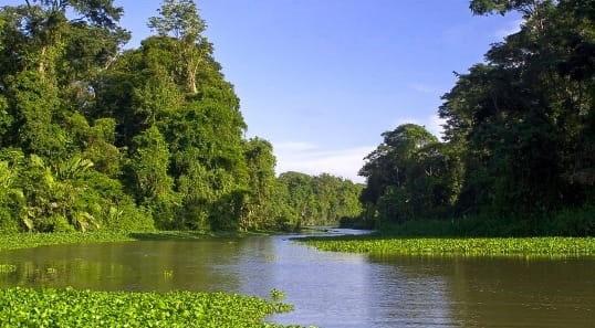 _Destinations - Wildlife encounters