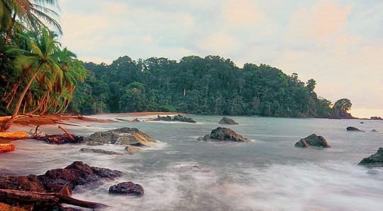 _Destinations - Wildlife encounters