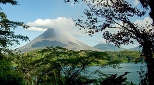 World renowned rainforest research centre