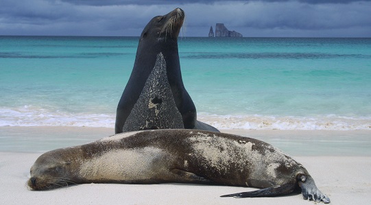 _Destinations - Expedition cruises