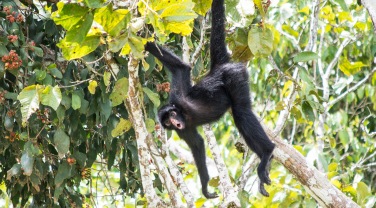 Peru - Guide - Regions - not - north